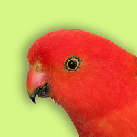 Australia Birds ID - Demo