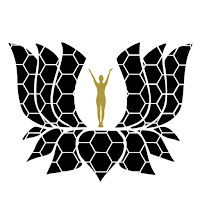 Unlost Lotus