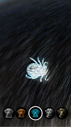 Tick Detector: Pet Tick Scan Screenshot 1