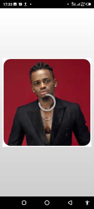 DIAMOND PLATNUMZ Screenshot 0