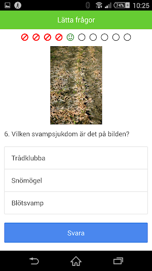 VäxtodlingsQuiz Screenshot 0