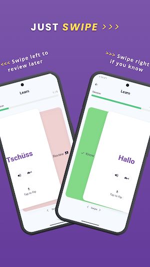German Flashcards: Learn Words Screenshot 3