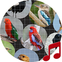 Australian bird Sounds ~ Sboar
