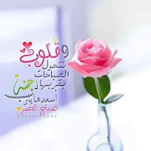 اجمل صور صباح الخير مساء الخير Screenshot 1