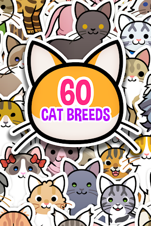 My Cat Album - Adorable Kitty  Screenshot 3
