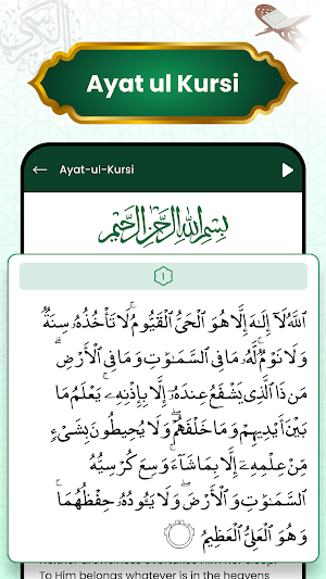 Surah Yaseen Audio Mp3 Offline Screenshot 3