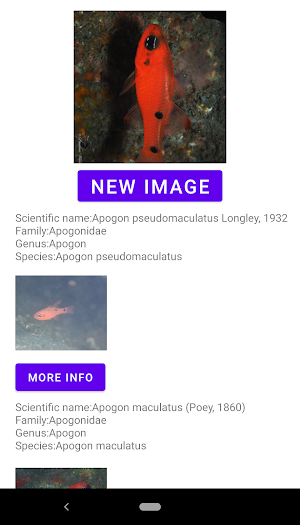 Fish identifier Screenshot 3