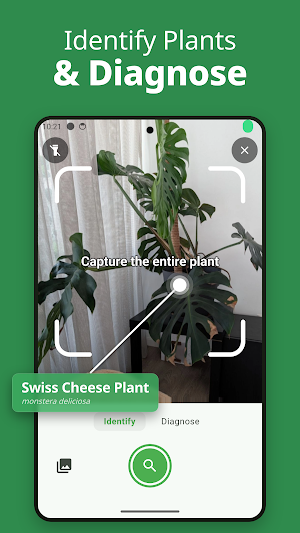 BotanicMate: Plant Identifier Screenshot 0