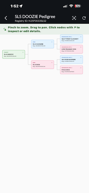 KikoKeeper Screenshot 2