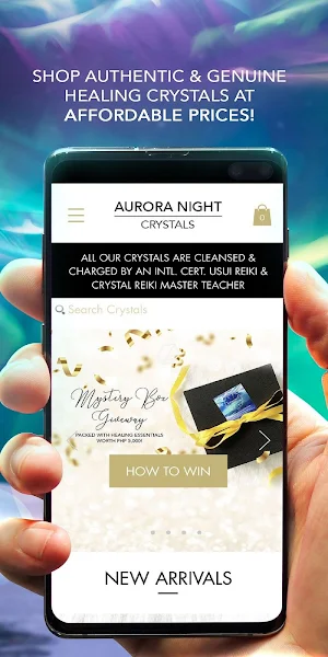 Aurora Night Screenshot 1