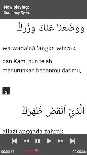Surat-Surat Pendek Al-Quran MP3 + Terjemah Screenshot 3