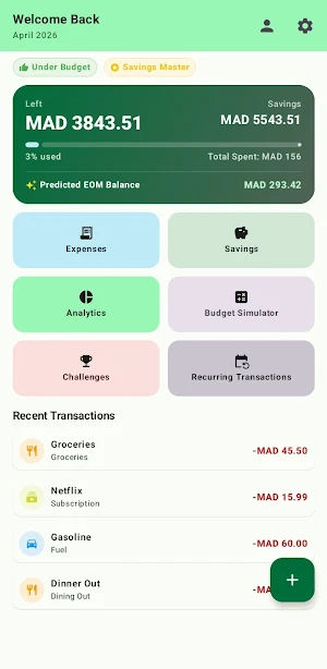 My Budget Manager: Pro Tracker Screenshot 0