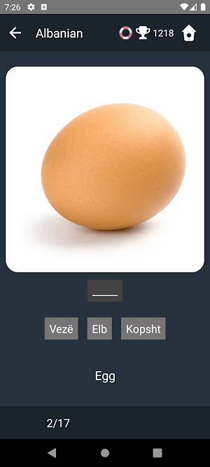 Albanian Language Tests Screenshot 3