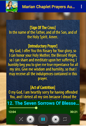 Marian Chaplet Prayers Audio Screenshot 2