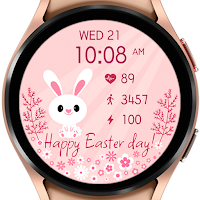 AZ241 Easter Watch