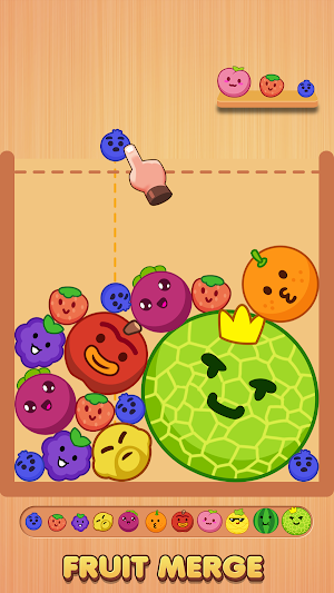 Wood Puzzle Games - No Wifi Screenshot 1