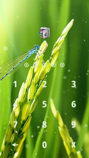 AppLock Live Theme Paddy – Paid Theme Screenshot 1