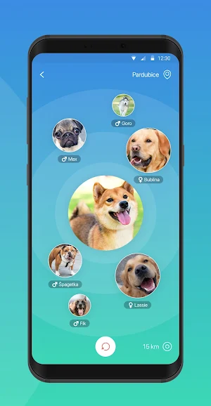 Hafinder Screenshot 2