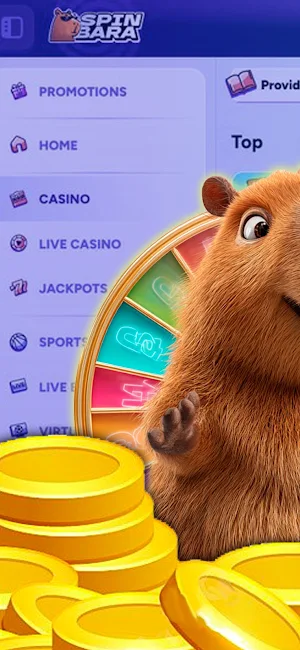 Spinbara Screenshot 0