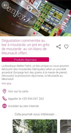 Dijon City Pass Screenshot 3