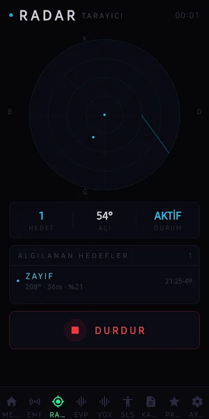 Antik Ghost Hunter EMF & EVP Screenshot 1