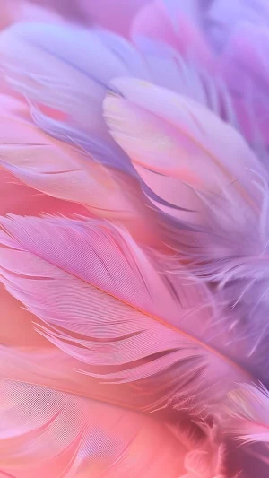 Feather Wallpaper Screenshot 1