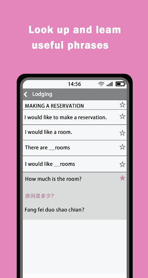 Translate Screenshot 3