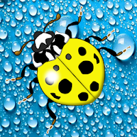 Save the Ladybugs