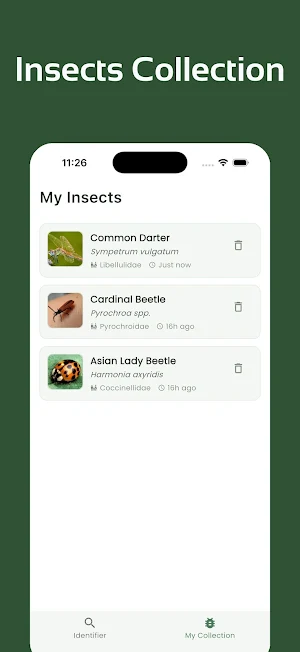 Insect Identifier - InsectsLen Screenshot 2