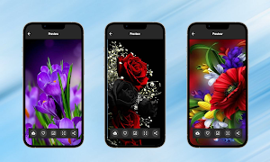 Picture Flowers and Roses Screenshot 3