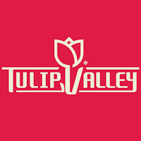Tulip Valley