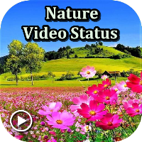 Nature video status