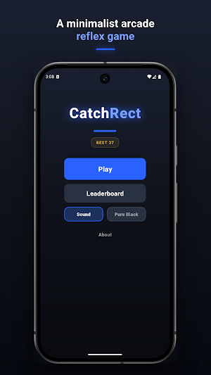CatchRect Screenshot 0