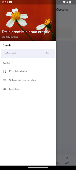 Cursuri Decenu.eu Screenshot 1