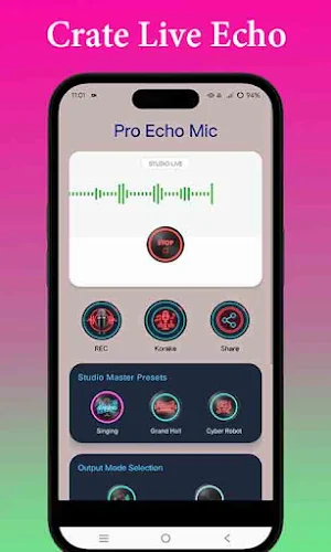 Live Echo Mic Screenshot 2