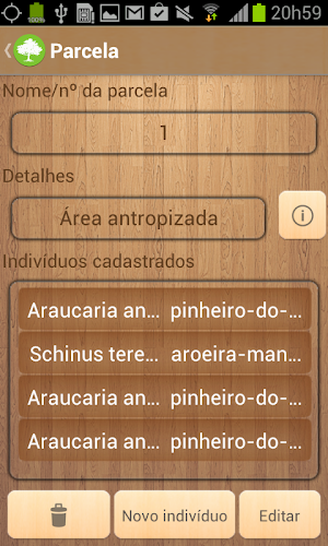 Forest Files Screenshot 2