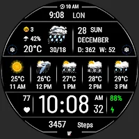 VF02 Weather Inform Watch Face