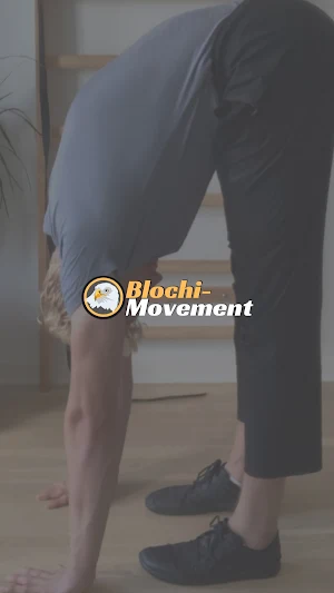 Blochi Movement Screenshot 0