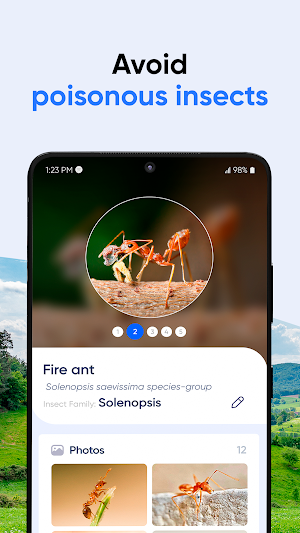 Bug ID: Insect Identifier AI Screenshot 0