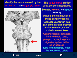 Neuroanatomy - SecondLook Screenshot 3