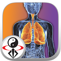 Qigong Breathing Video Lesson