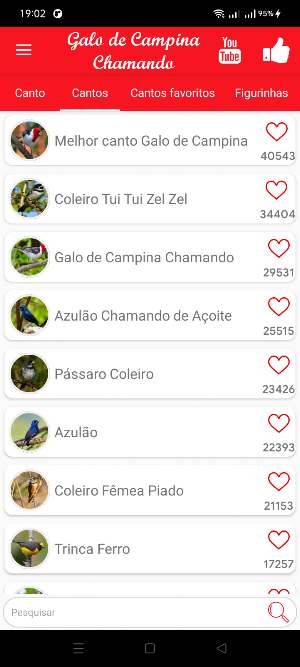Galo de Campina Chamando Screenshot 2