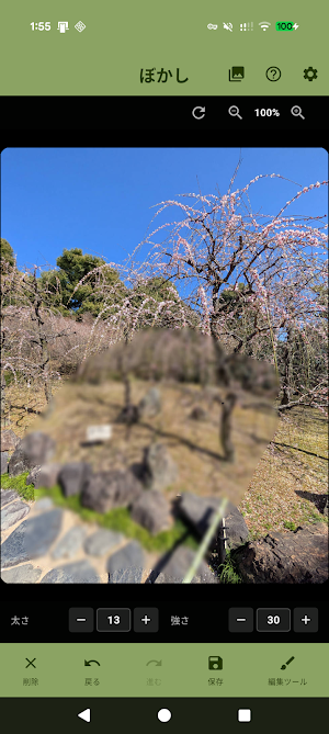 写真モザイク＆ぼかしPLUS  ～指でなぞってかんたん加工～ Screenshot 1
