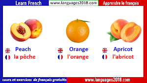 Learn French -Français Facile Screenshot 0