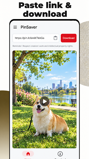 PinSaver - Video Downloader Screenshot 2