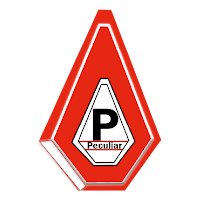 Peculiar Ultimate Concerns Ltd