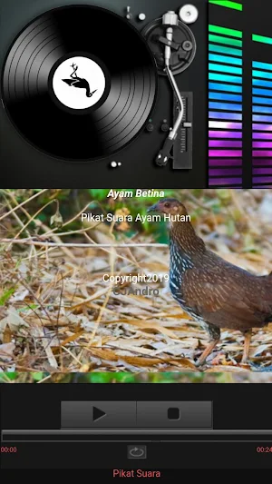 Suara Pikat Burung dan Hewan Lengkap untuk berburu Screenshot 1