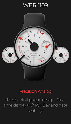 WBR 1109: Instrument Panel Screenshot 0