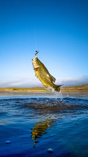 Fishing Wallpaper Screenshot 2