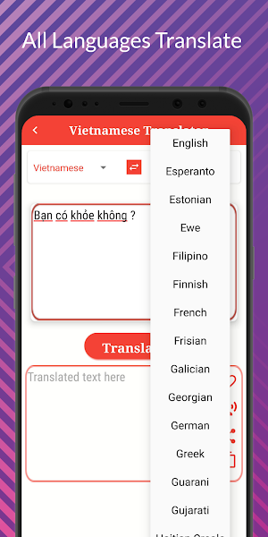 Vietnamese Translator Screenshot 3